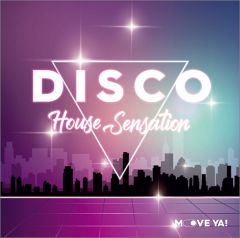 DISCO HOUSE SENSATION
